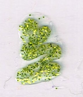 Gekleurde en Glitter contouren
