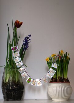 Startsetje Mini Slinger